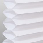 Cellular Shades color cotton