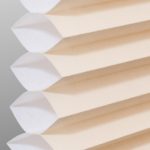 Cellular Shades color onion