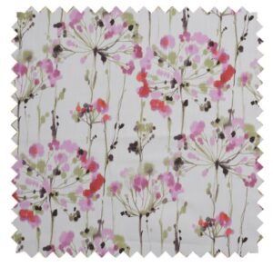 Dandelion Pink