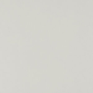 203 White