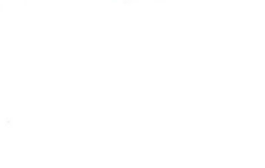 651 Simple White